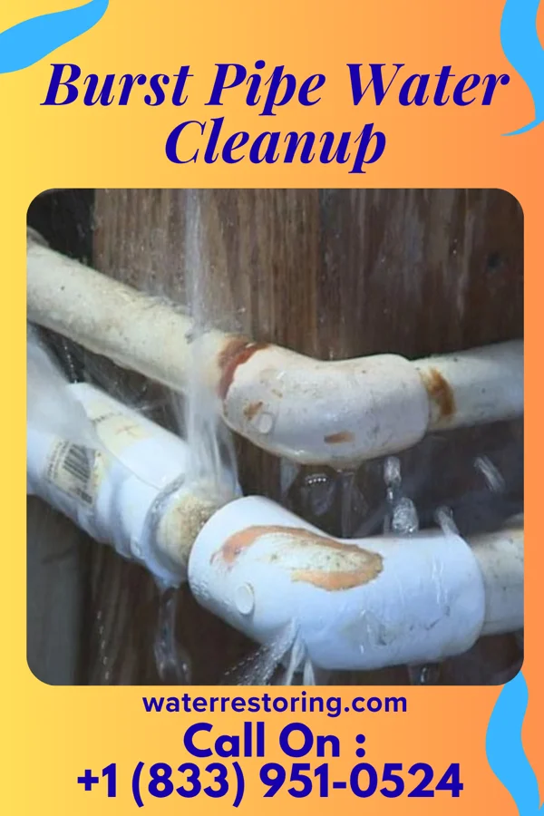 Burst Pipe Water Cleanup in West Dunbar, WV