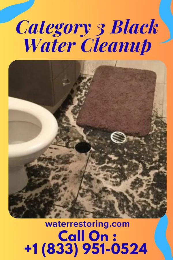 Category 3 Black Water Cleanup in West Dunbar, WV