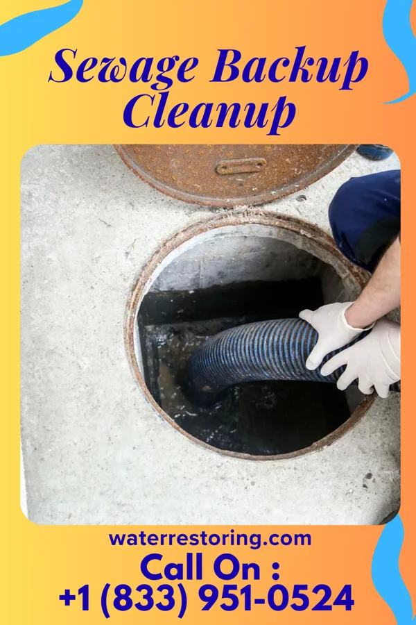 Sewage Backup Cleanup in West Dunbar, WV