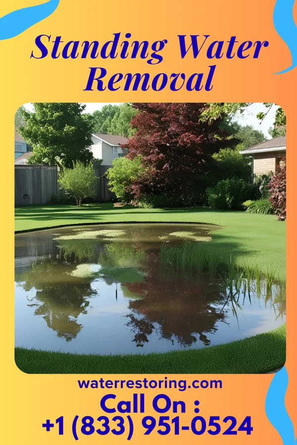 Standing Water Removal in West Dunbar, WV